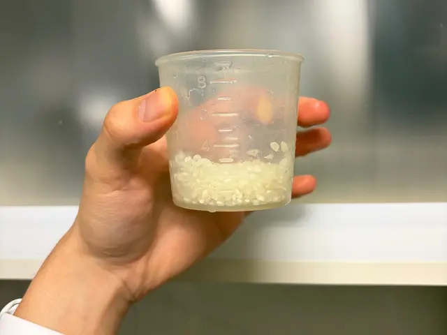 皮蛋鹹蛋粥 — $<T k="steps" /> 1